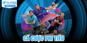 Cá Cược Phi Tiêu