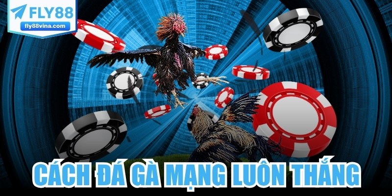 Cách Đá Gà Mạng Luôn Thắng