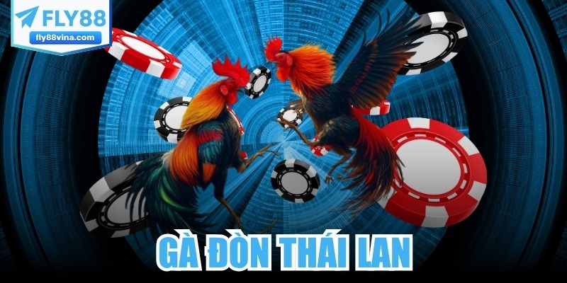 Gà Đòn Thái Lan