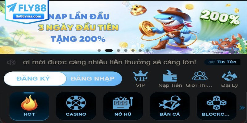 Giới thiệu FLY88 về định hướng phát triển tương lai