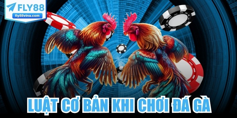 Luật Cơ Bản Khi Chơi Đá Gà