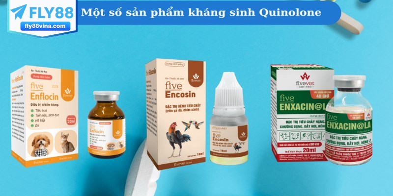 Các loại thuốc điều trị bệnh ORT trên gà đặc hiệu