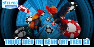 Thuốc Điều Trị Bệnh ORT Trên Gà